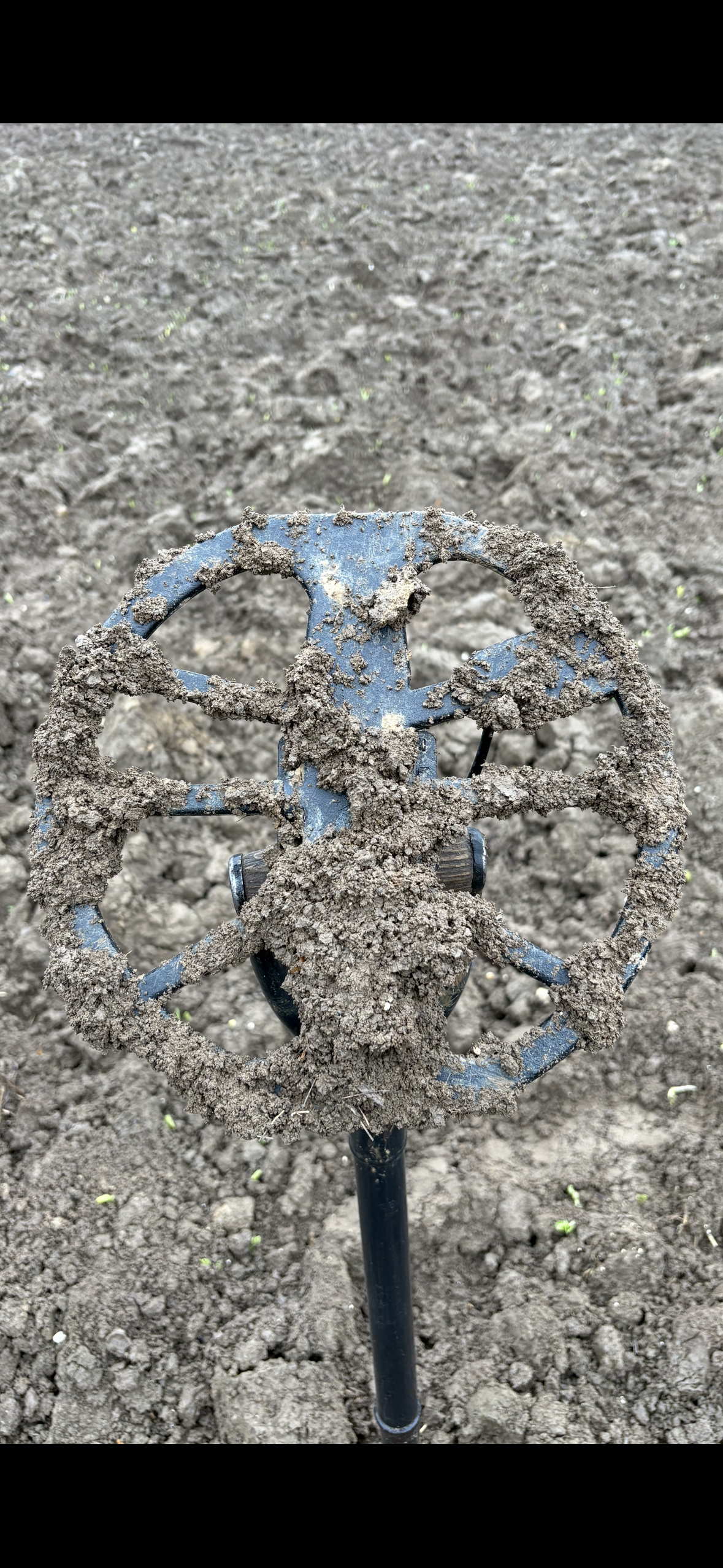Metal detector search coil covered in mud during a real-world field test.
